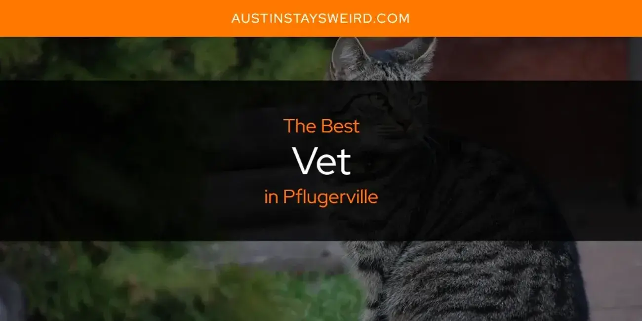 Pflugerville's Best Vet [Updated 2024]