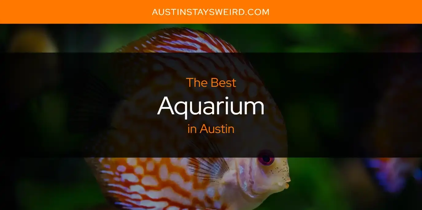 The Absolute Best Aquarium in Austin  [Updated 2023]
