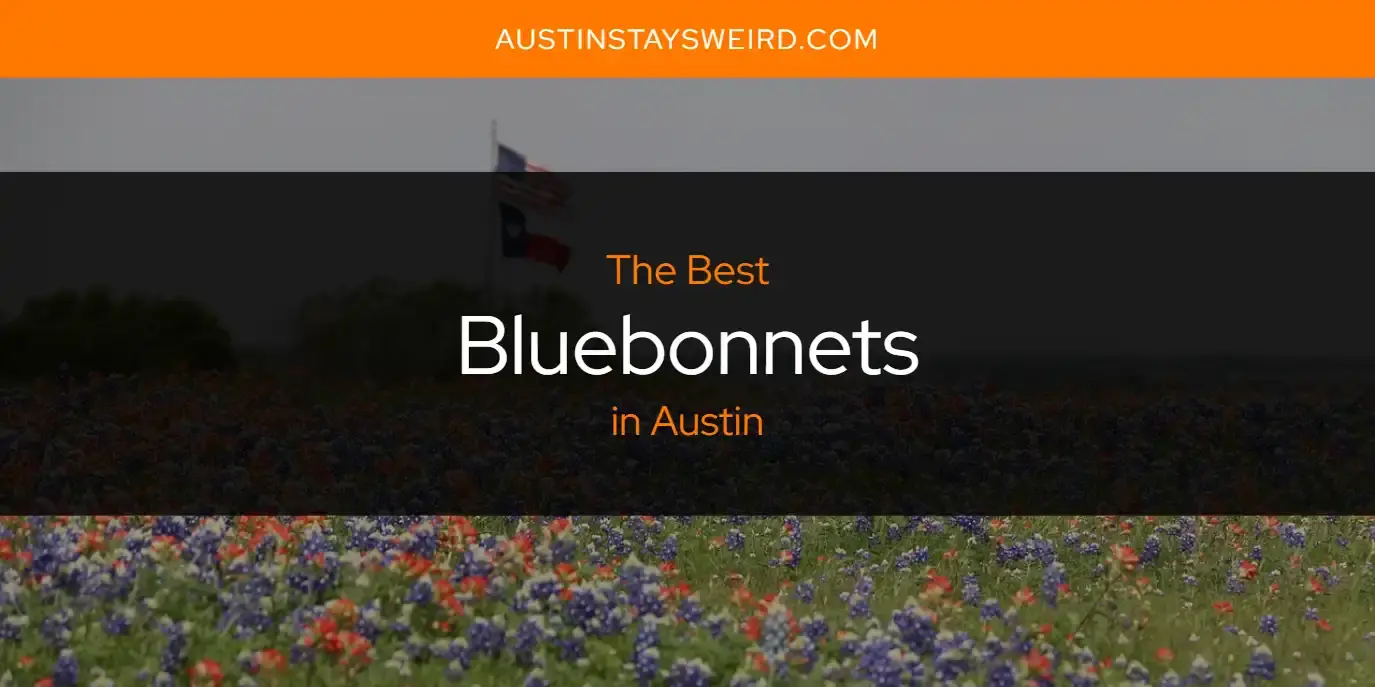 The Absolute Best Bluebonnets in Austin  [Updated 2023]