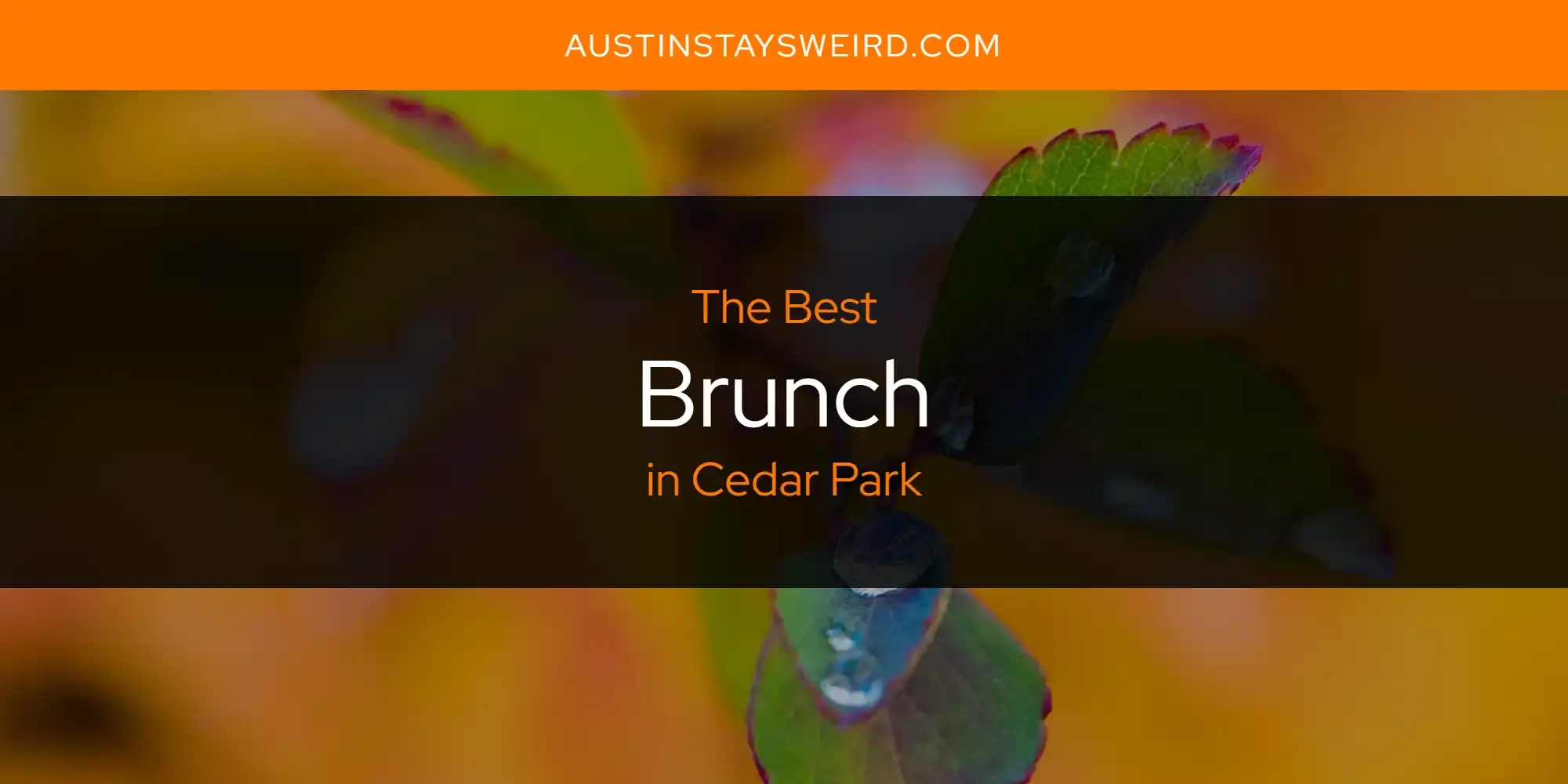 The Absolute Best Brunch in Cedar Park  [Updated 2023]