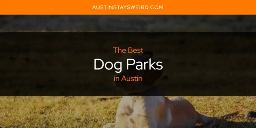 The Absolute Best Dog Parks in Austin  [Updated 2024]