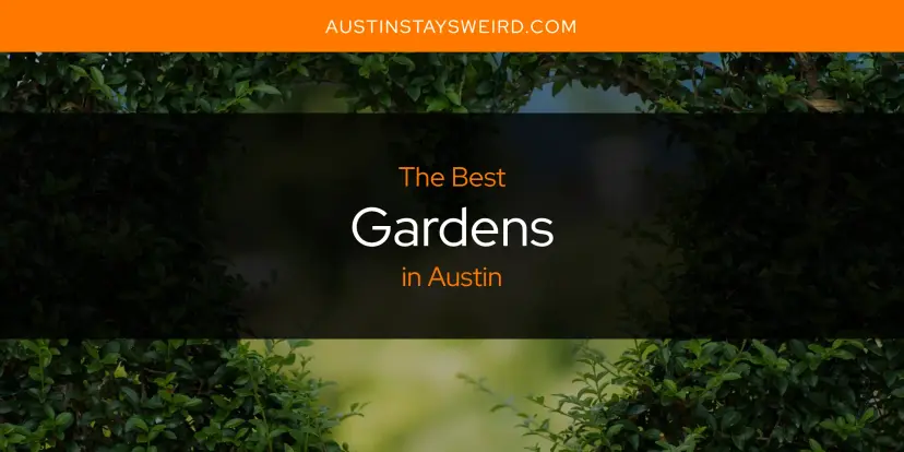 The Absolute Best Gardens in Austin  [Updated 2024]