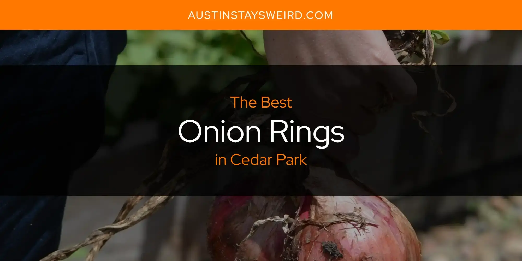 The Best Onion Rings in Cedar Park [Updated 2023]