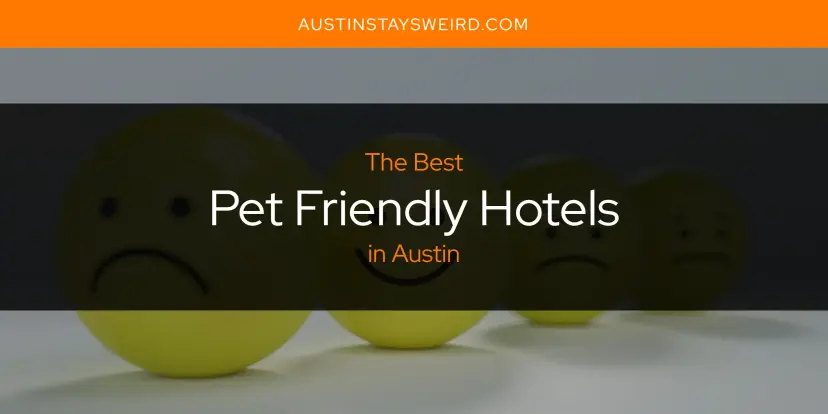 Austin's Best Pet Friendly Hotels [Updated 2024]