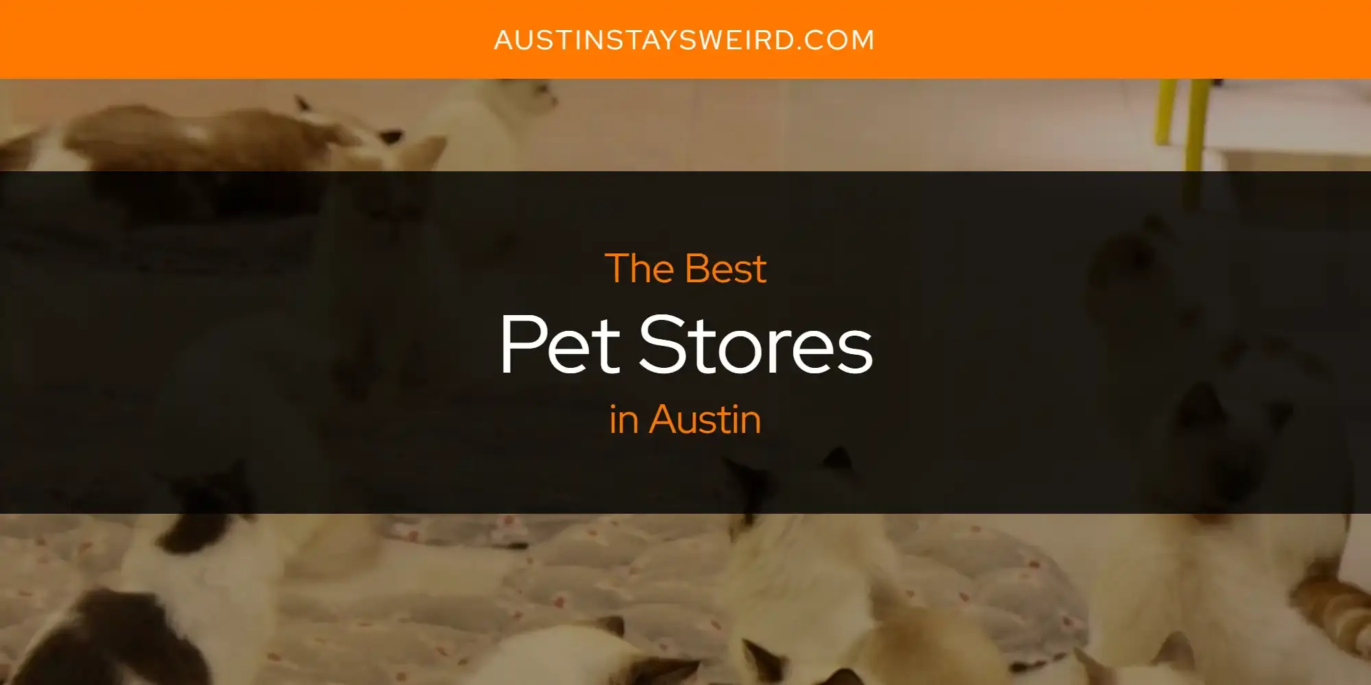 The Best Pet Stores in Austin [Updated 2023]