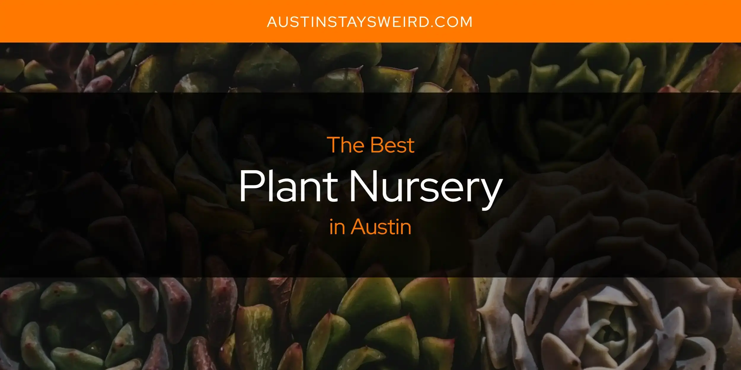 The Best Plant Nursery in Austin [Updated 2023]