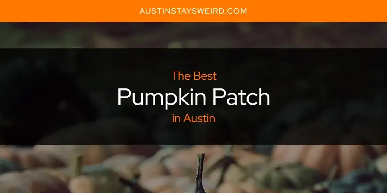 Austin's Best Pumpkin Patch [Updated 2024]