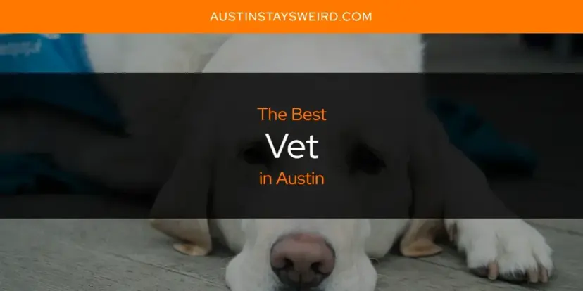 Austin's Best Vet [Updated 2024]