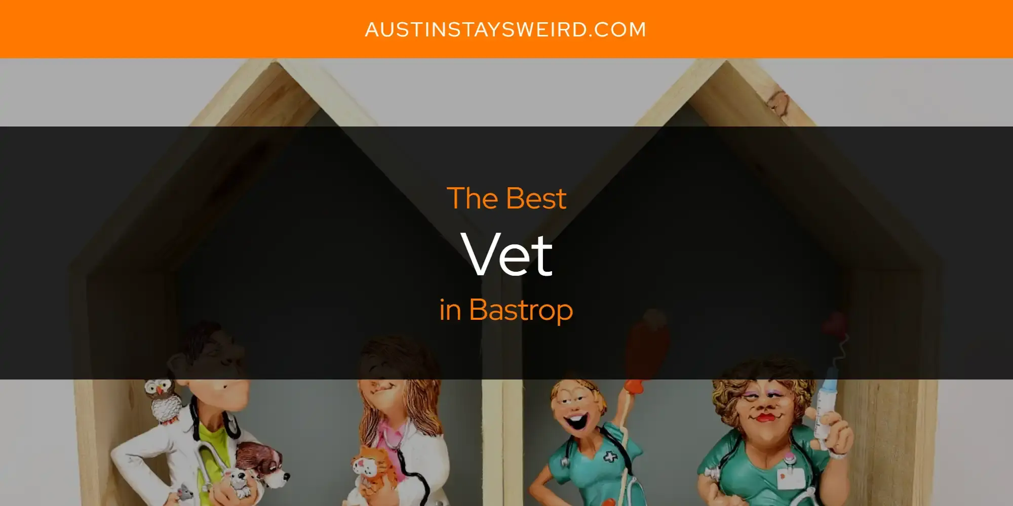 The Best Vet in Bastrop [Updated 2023]