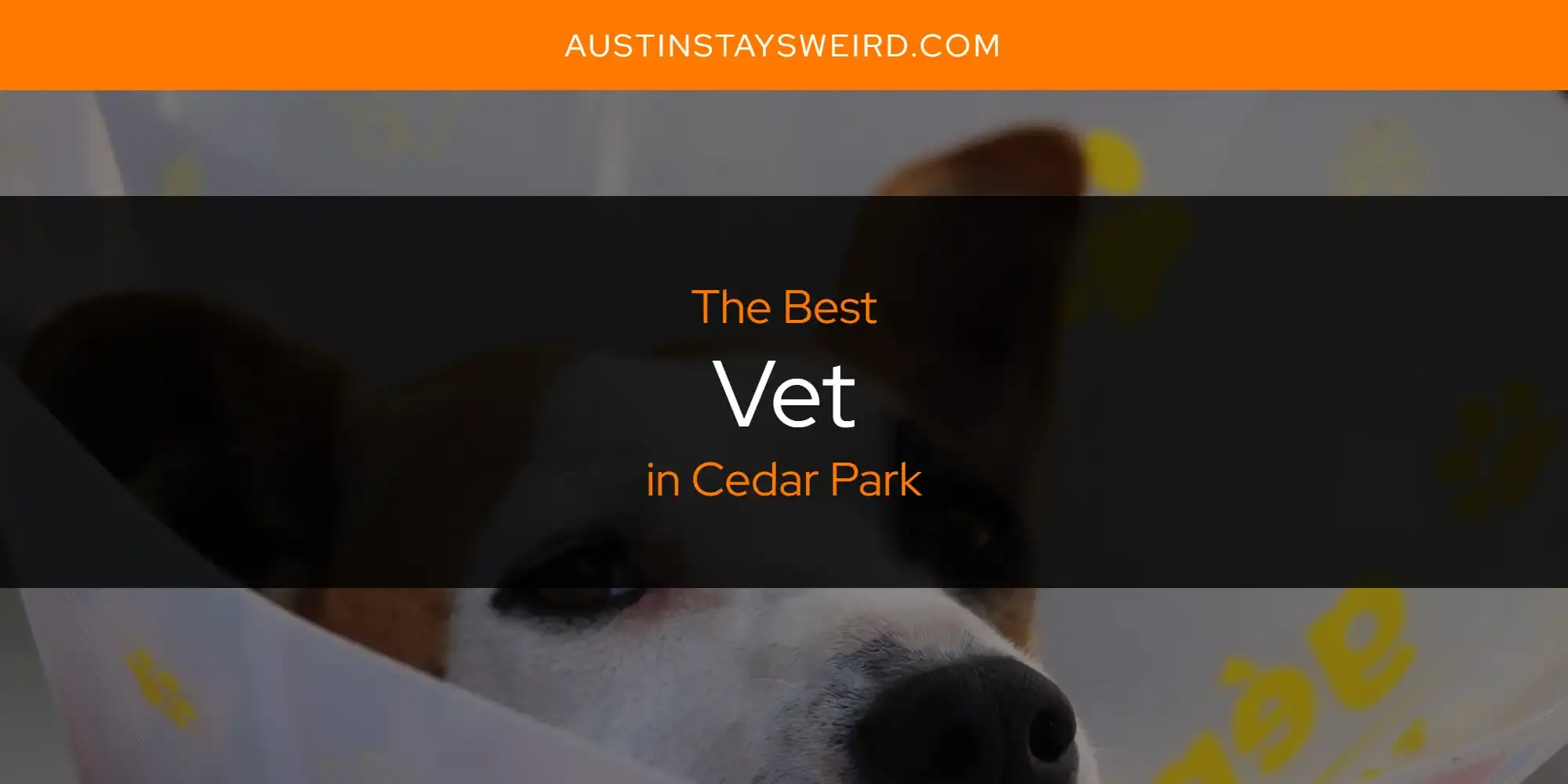The Best Vet in Cedar Park [Updated 2023]