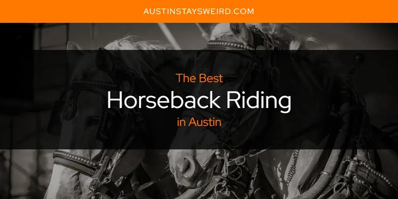 The Absolute Best Horseback Riding in Austin  [Updated 2025]