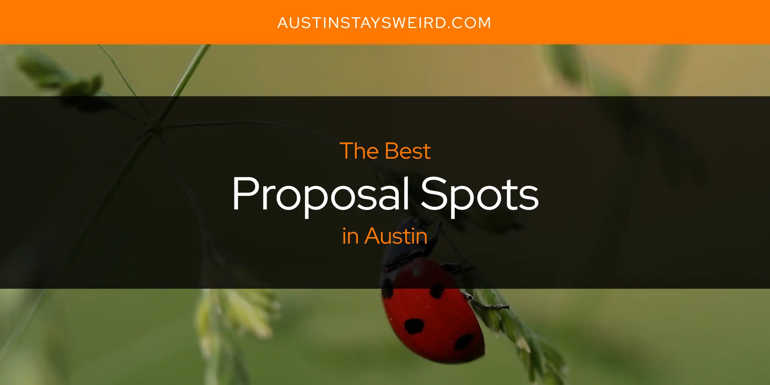 The Absolute Best Proposal Spots in Austin  [Updated 2025]