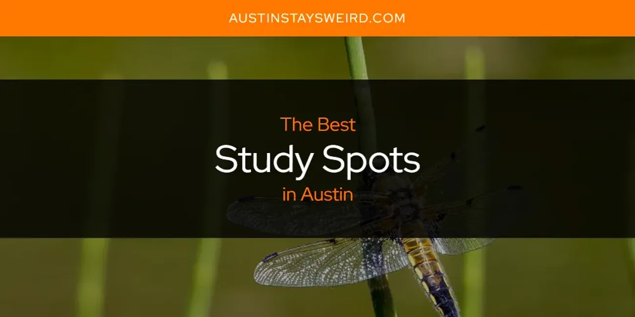 The Absolute Best Study Spots in Austin  [Updated 2025]