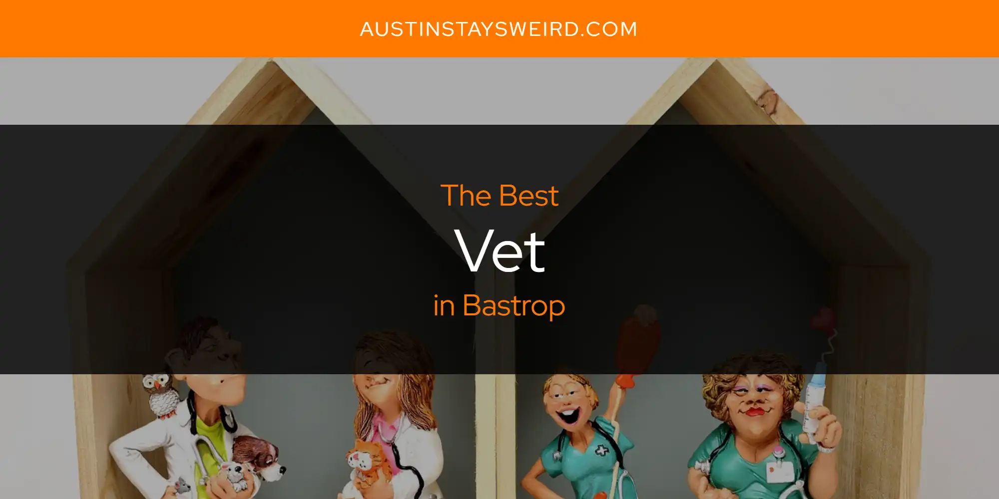 The Absolute Best Vet in Bastrop  [Updated 2025]