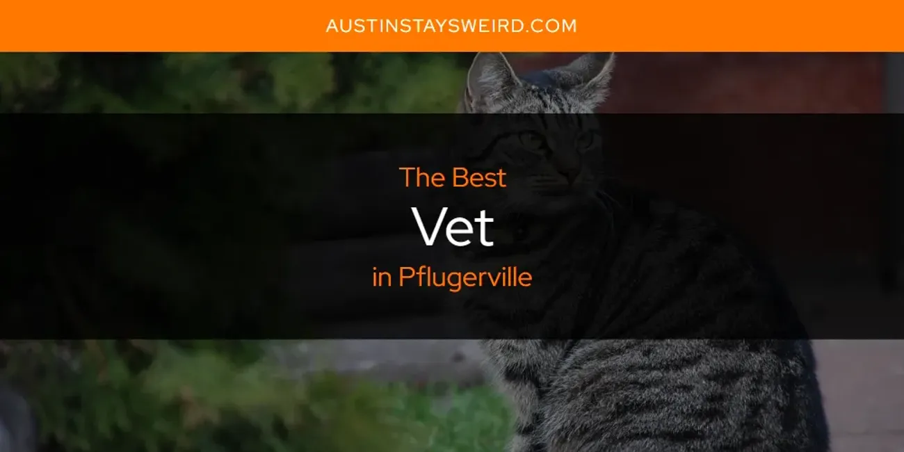 Pflugerville's Best Vet [Updated 2025]