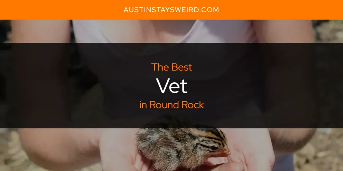 Round Rock's Best Vet [Updated 2025]